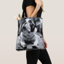 Suche nach französische bulldogge taschen Welpe