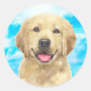 Suche nach golden retriever welpe aufkleber Aquarell