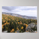Recherche de forêt pin de posters Automne