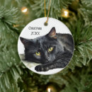 Suche nach schwarz weiße katze ornamente Kitty