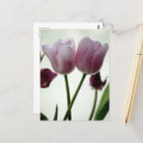 Recherche de fleurs de tulipe cartes postales Vie