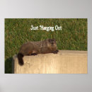 Suche nach wandplakat Fotografie