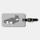 Recherche de sièste bagages étiquettes Chat