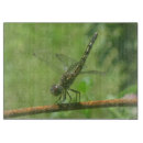 Recherche de libellule planches à découper Nature