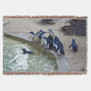Suche nach pinguine decken Vögel