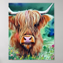 Suche nach kuh aquarell poster Tier