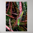 Suche nach goldstaub poster Hawaii