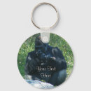 Suche nach gorilla schlüsselanhänger Zoo