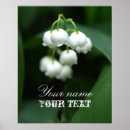Suche nach aroma poster Blume