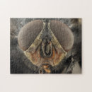 Suche nach insekten puzzle Entomologie