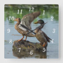 Suche nach enten wanduhren Natur