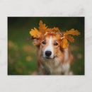Recherche de frontière cartes postales Chien