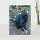Suche nach katze mit grünen augen karten Schwarz
