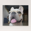 Suche nach french bulldog puzzle Welpe
