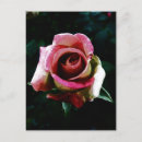 Recherche de fleurs peintes cartes postales Romantique