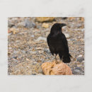 Suche nach wilderness postkarten Landschaft