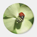 Suche nach naturmagnet Tier