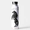 Recherche de cheval noir gourdes Animal