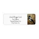 Suche nach magpie Tier