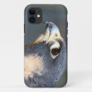 Recherche de rapace iphone coques Photographie
