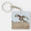 Suche nach hawk schlüsselanhänger Tierwelt