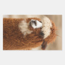 Suche nach niedliches alpaka aufkleber Tiere