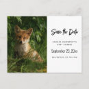 Recherche de renard rouge invitations Faune