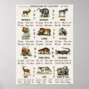 Suche nach französisches klassenzimmer poster Schule