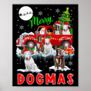 Suche nach xmas poster Katze