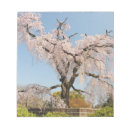 Suche nach japanisch notizblock Kirschblüte