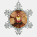 Recherche de orchidée ornements Photographie