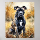 Recherche de cane corso art Pour tous