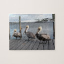 Recherche de pelican puzzles Faune