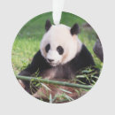 Suche nach vom zoo ornamente Schnee