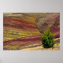 Suche nach über dem hügel poster Natur