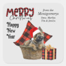 Recherche de cairn terrier autocollants Pour tous