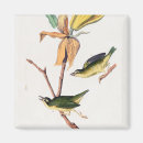 Recherche de dessin botanique magnets Vintage