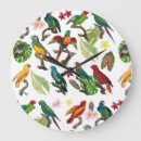 Recherche de oiseaux tropicaux horloges Hawaïen