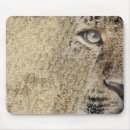 Recherche de amur tapis souris Léopard