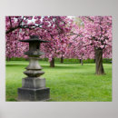 Recherche de printemps à paris posters Fleurs de cerisiers