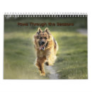Recherche de fourrure photographie Animal de compagnie
