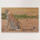 Recherche de guépards puzzles Faune