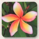 Suche nach thailand untersetzer Asiatinnen