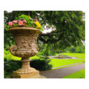 Suche nach wasserbrunnen poster Blume