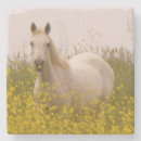 Suche nach pferde untersetzer Senf