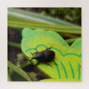 Suche nach käfer puzzle Tiere