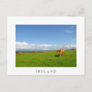 Recherche de eire cartes postales Irish