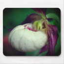 Recherche de orchidée blanche tapis souris Nature