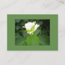 Recherche de sucette cartes visite Rose