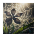Suche nach spinnennetz fliesen Halloween